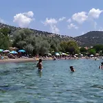 Hatsi *